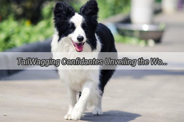 TailWagging Confidantes Unveiling the World of Doggy Emotion Recorders